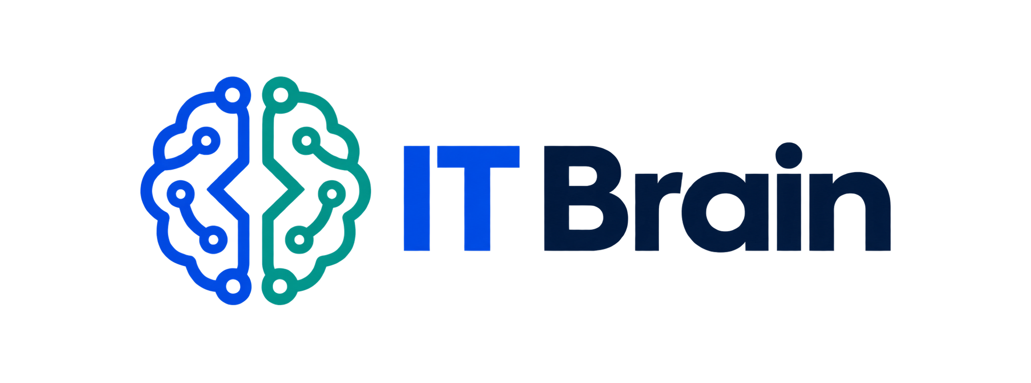 IT Brain